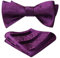 HISDERN Fliege Herren Set Violett Fliegen mit Einstecktuch Formale Klassische Paisley Verstellbar für Bräutigam Hochzeit Party Fasching