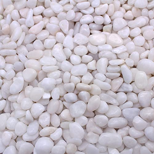 Aleker River Rock Stones Pebbles, 2-3cm Natural Decorative Polished Mixed White Pebbles Gravel for Garden, Plant Pots, Landscaping, Ponds, Terrariums Vase Fillers, DIY, Home Decor etc, 2.2lb