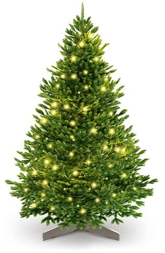 Künstlicher Weihnachtsbaum 180 cm – 100 % Spritzguss Nordfichte mit LED | Premium Tannenbaum naturgetreu inkl. FSC-Holzständer & Aufbewahrungstasche
