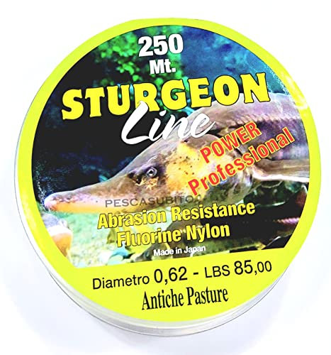 Filo Storione per Mulinello e Finali 0.62mm / 250Mt Fluorine Nylon Sturgeon Fishing