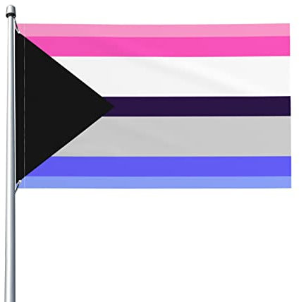 Demi Omni Pride Flagge LGBTQ 3x5 Fuß - UV-beständig - Gartenbanner mit Ösen