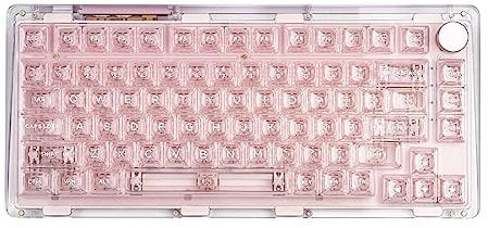 KiiBoom Phantom 81 V2 75% Transparent Mechanical Gaming Keyboard, Hot Swappable Custom Gasket Keyboard with RGB Backlit, Clear Keycap, Rechargeable Battery, Triple Mode for Win/Mac (Pink)