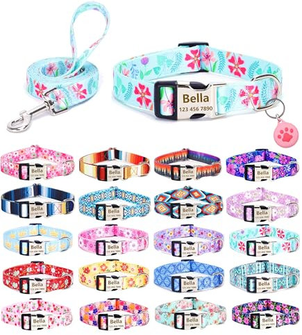 Moonpet Personalisierbares Hundehalsband mit Leine, Airtag-Halter, Etui-Set, individuelle Hundehalsbänder mit Namen, Telefonnummer für männliche, weibliche und große Hunde