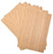 Kontrasti Impiallacciatura di Rovere Rigato Spessore 0,4mm x 8 Fogli | Legno grezzo | Tranciato adatto per: modellismo, mobili, lavori di riparazione, restauro, bricolage, fai da te, DIY e artigianato