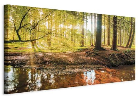 B&D XXL - Tableau décoratif paysage 80x40 cm - Impression sur toile colorée - Décoration murale - Lueur arbres automne forêt feuilles nature plantes rivière soleil c-B-0174-b-a