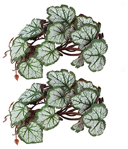 AKLOSIPY 2PCS Künstliche Pl a Blätter Simulation Rebe Lebensechte Kunststoff Reptil Pl mit Saugnapf für Fisch Rium (Wo die Wurzel geht)