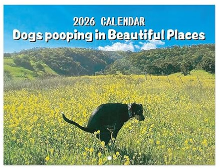 Hunde kalender 2026, Pooping Dogs Kalender, Pooping Dogs Calendar 2026, Dogs Pooping in Beautiful Places Calendar, 2026 Hündchen Wandkalender Lustiger 2026 Hündchen Wandkalender