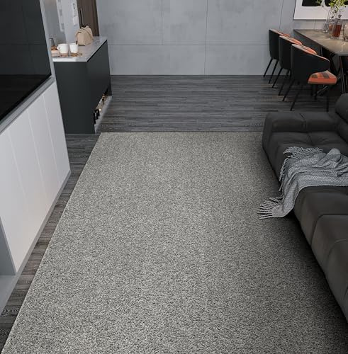 AKCILA Sphinx Shaggy Teppich Hochflor 250x400cm Dunkelgrau weicher Flauschiger Rug mit 23 mm Florhöhe, moderner Carpet Relax, großer Teppich, ideal für Wohnzimmer, Schlafzimmer, Moderne teppiche Boho