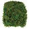 ISDI 4 Paquetes de Simulación Artificial de Musgo,Planta Simulada de Musgo Verde Simulación de liquen Artificial Lichen Verde Falso Musgo para Plantas Patio Jardín Decoración del Hogar