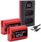 Baxxtar Pro DMW-BLK22-E Batterie Pack (2400mAh) avec Mini LCD Double Chargeur (USB-C/MicroUSB) Compatible avec Panasonic Lumix DC S5 S5D S5K S5-X S5II S5-IIX GH5 GH5-II GH5S GH6 G9