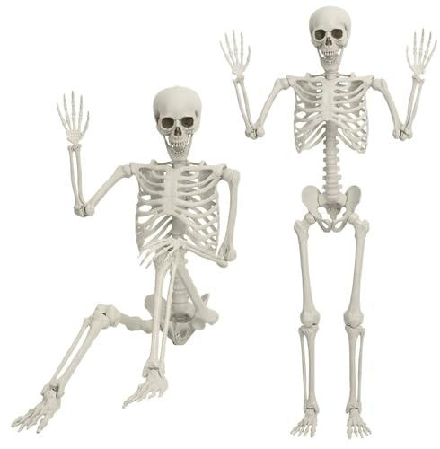 Makamsui Lebensgroßes Skelett, 165 cm, bewegliches Halloween-Skelett, menschliche Knochen mit Gelenken, für drinnen und draußen, Halloween-Requisiten