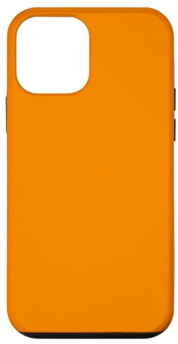 case orange color Case for iPhone 12 mini