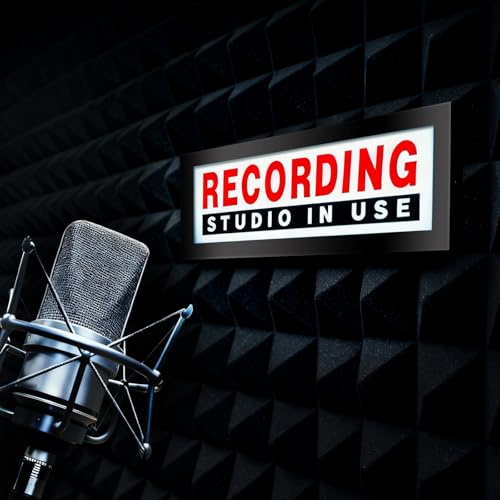 Recording Studio in Use Leuchtkasten, rote LED-Neonlichter, Wandmontage, dimmbares Schilderlicht für Twitch, Tiktok, YouTube, Streamer, Radiosender, Bar, Club, Dekoration