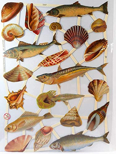 Ernst Freihoff Glanzbilder Fisch Muschel Lok EF 7247 Oblaten Posiebilder Scrapbook Deko GWI 327 a