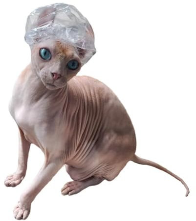 Sphynx Hairless Cat Shower Caps No Chin Elastic Kitten Cats & Small Dogs Small Pets 20pcs for Devon Rex Cat, Cornish Rex Cat Bambino Peterbald Cat and Elf