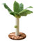 Wnvivi Rascador para Gatos con Bola Colgante, árbol Falso de 32 X 25 Cm, Rascador para Gatos de Cáñamo Y Sisal con Hojas Verdes, Rascador para Gatos de Palmera para Gatos de Interior(Café)