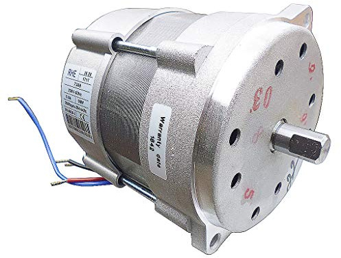 Riello R40 Burner Motor 3007971,RBS41