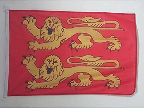AZ FLAG - Drapeau Basse-Normandie - 45x30 cm - Pavillon Nautique Bas-Normand - France Spécial Bateau Et Extérieur En Maille Bloquée Avec Anneaux Plastiques Intégrés - 30g