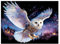 Yoimckay 5D Anime Diamond Painting Eule,Eule DIY Diamond Painting by Numbers Strass Stickerei kreuzstich Kunst, Cartoon Diamant Painting Bilder für Erwachsene Kinder,für Haus Dekoration,30x40cm