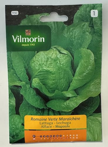 Semi Lattuga Romana Verde Degli Ortolani S1-950, 10g Confezioni 10 bustine