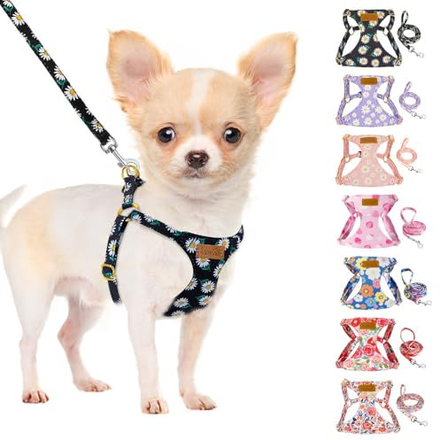 SlowTon Hundegeschirr mit Leine, No-Pull leichtes weiches Wildleder-Welpengeschirr mit Blumenmuster und Schnappschnalle, verstellbares Geschirr Hund für kleine und mittelgroße Hunde XXS