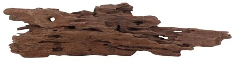 L Honey Comb Wurzel Nr.2981 Aquarium Wurzel Mangrove Holz Deko Aquascaping Dekoration Landschaft Moos Natur Echtholz