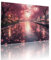 Puzzle Erwachsene 5000 Teile Baum Fluss Educa Jigsaw für Kinder ab 8 Jahren Mädchen Jungen, Erwachsene Impossible Klassische Puzzles Schwer, Anspruchsvoll Spielspaß, Als Geschenke 105x156cm t-892