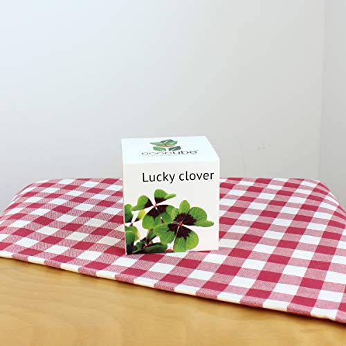 Glücksklee im Holzwürfel - personalisierbar