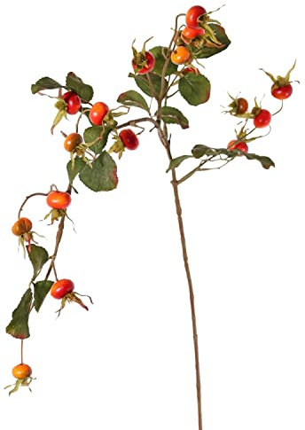 artplants.de Kunstzweig Wildrose FILONAS mit Früchten, orange-rot, 105cm - Rosenzweig künstlich