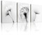 WENGTIAO 3 Stück Löwenzahn Leinwand Bilder Kunstdrucke Gerahmtes Bild Schwarz Weiß Floral Gemälde auf Leinwand Moderne Minimalistisch Wandbilder für Wohnzimmer Schlafzimmer Wanddeko 30x40cmx3