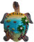 3D Sea Turtle Style Boa Vista Cape Verde Fridge Magnet Souvenir Gift Refrigerator Decor Magnetic Sticker Collection