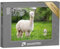 puzzleYOU: Puzzle 1000 Teile „Weißes Alpaka mit Nachkommen, südamerikanisches Säugetier“ – aus der Puzzle-Kollektion Alpakas, Exotische Tiere & Trend-Tiere