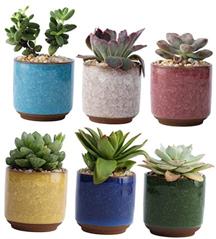 Yardwe Innen 6 Stücke Keramik Töpfe Sukkulenten Topf Dekorative Pflanzer Topf