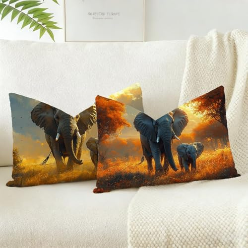 Outdoor Kissen 30 x 50 2 Stück, Afrika Kissenbezug Rechteckig, Kissenhüllen mit Unsichtbarem Reißverschluss, Wetterfest Sofakissen Elefant Kissenbezüge Leinen Dekokissen, für Sofa Garten Deko D-4018