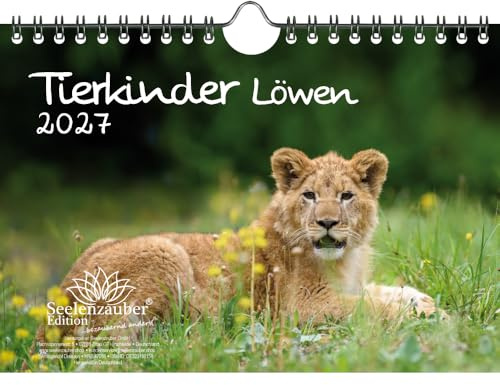 Tierkinder Löwen DIN A5 Kalender für 2027 Löwenbabys - Seelenzauber