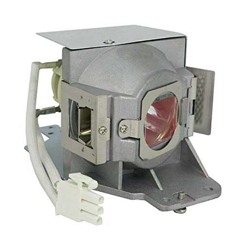 Visdia RLC-079 Replacement Projector Lamp with Housing for Viewsonic PJD7820HD PJD7822HDL Projectors