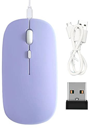 Eayoly Souris sans Fil Portable | Souris silencieuse 2.4G pour PC de Bureau - 1600 DPI, Souris avec Récepteur et Câble de Charge pour Ordinateur Portable, PC, Ordinateur, Notebook