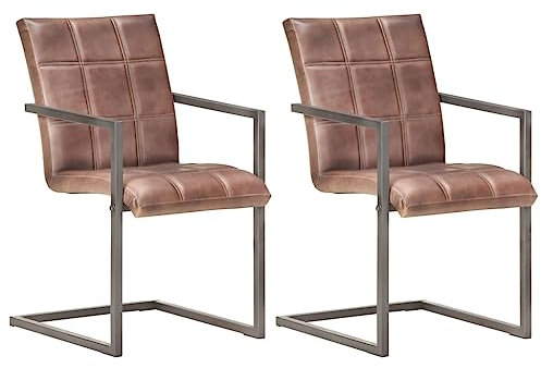 WEMYUFURN Freischwinger 2 STK. Braun Echtleder, Küchenstühle für Innen Außen Küche Esszimmer