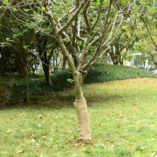 Mokuyary Rouleaux de Jute 2 pièce 0,5x50 m 100% Jute 200 g/m² pour Jardin, Terrasse