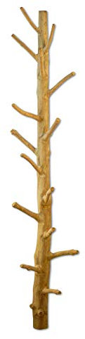 Kinaree Wand Garderobe Baumstamm Mangosteen | Naturbelassene Wandgarderobe aus Massivholz | Handarbeit & Unikat | Stabiler Holz Kleiderständer