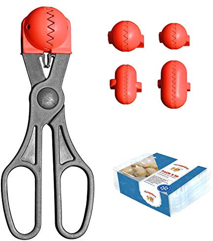 La Croquetera Multiusos Color Rojo-4 moldes Intercambiables para masas + Pack conservación-100% español : Patentado y Fabricado en España, 1 utensilio + 20 bandejas