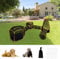 Keyzone Outdoor Cat Enclosures for Indoor Cats, 6-in-1 Portable Cat Playhouse (Outdoor Cat Tent and Circle Cat Tunnel) for Cats and Small Animals, Indoor Playpen with Carry Bag (6-in-1 set)