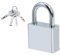 Qaixwuyi Vorhängeschloss mit Schlüssel 30 mm Metall Schlösser Garten Vorhängeschloss Silber Lagerhaus mit 4 Schlüsseln für Schränke Garagen Spind Garten Zäune