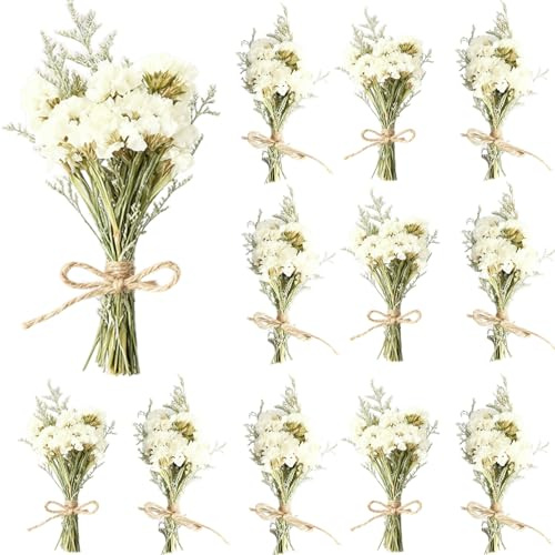 wintfarm 12 Stück Mini Getrocknete Blumen,Weiß Trockenblumenstrauß,Trockenblumenstrauß Klein Paket,Trockenblumen Klein Für Bilderrahmen DIY Heim-Party Und Hochzeitsdekoration