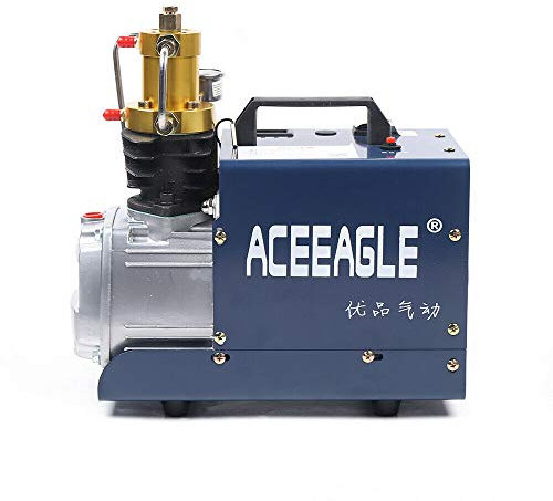 Auto 220V Hochdruck Luftkompressor 300BAR Sekundärkomprimierung 4500PSI Hochdruckluftkompressor PCP Luftpistole Tauchpumpe,mit Öl-Wasser-Trennung (Standardversion)