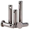 304 A2-70 Asse in acciaio inossidabile Pin a testa piatta Pin cilindrico con foro GB882 DOWEL rotolo di perno,1PCS M12,40mm
