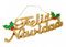 Acan Tradineur - Letrero Colgante Feliz Navidad Estilo Metalizado - Fabricado en Plástico - Decoración para Temporada navideña - 12 x 29 cm - Color Surtido