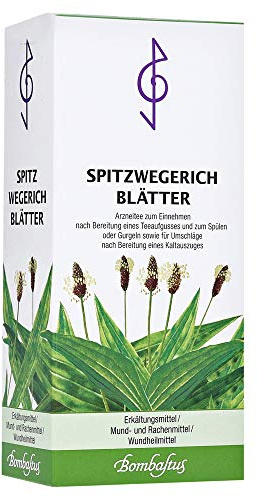Spitzwegerichblätter Tee