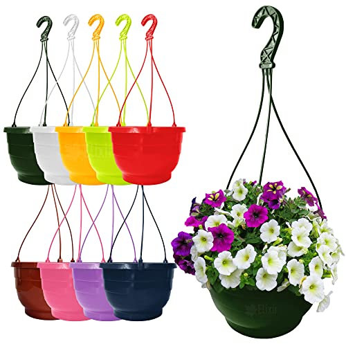 Elixir Gardens 25cm 6L Round Hanging Basket Pot Planter Many Colours to Choose From with Matching removable Hangers | Lime Green x 2