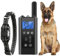 Hund Verhalten Guidance Halsband, Hundespielzeug, Hund interaktives Spielzeug, wasserdicht, einstellbare komfortable Länge, Universal Hundezubehör (zz3)